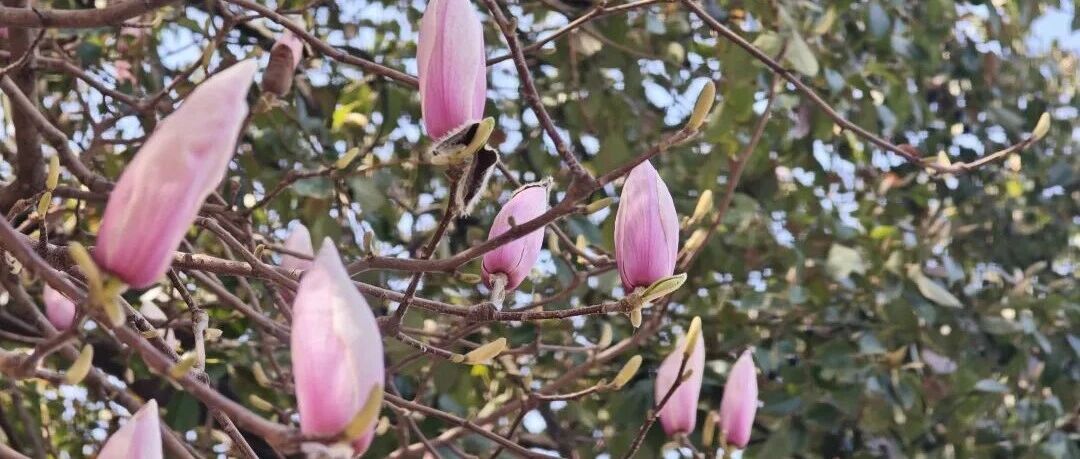 互联网还是需要人味