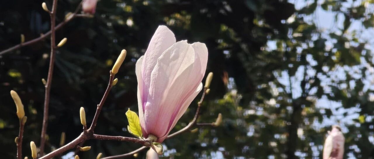 我的星球 10 年了