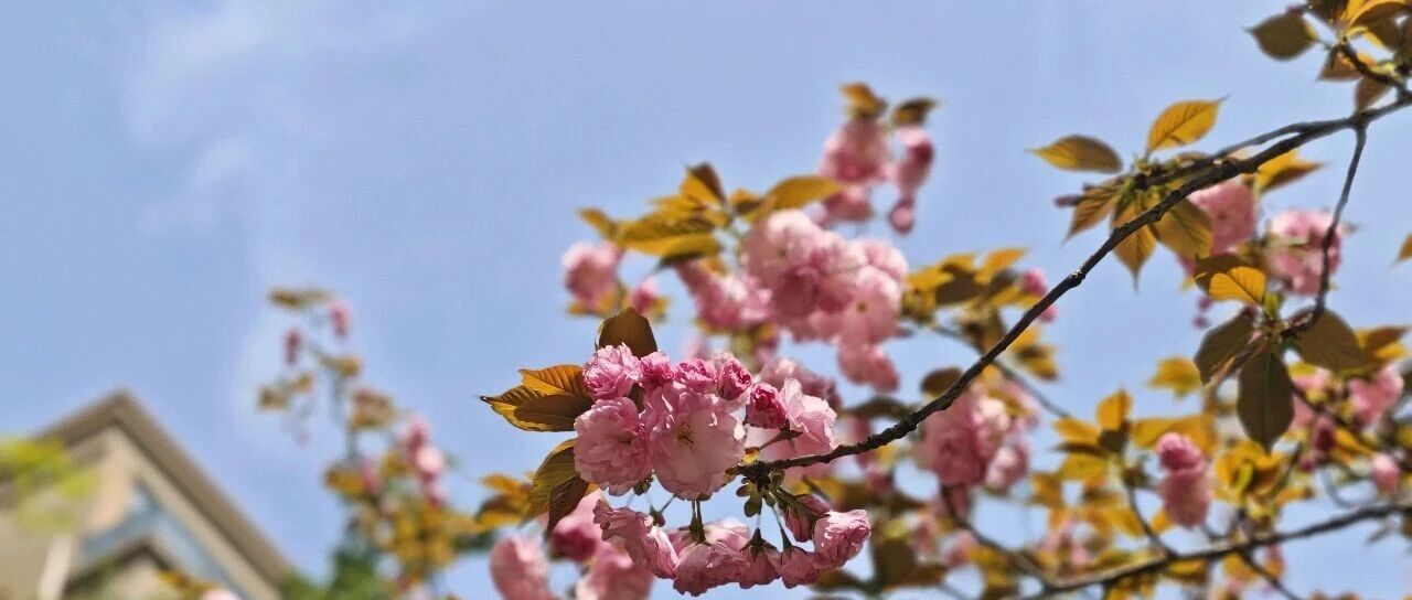 职场里要远离夸夸其谈者