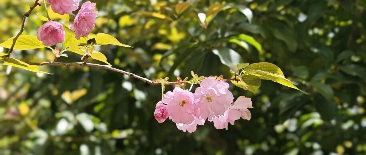 如何提高生活的安全边际