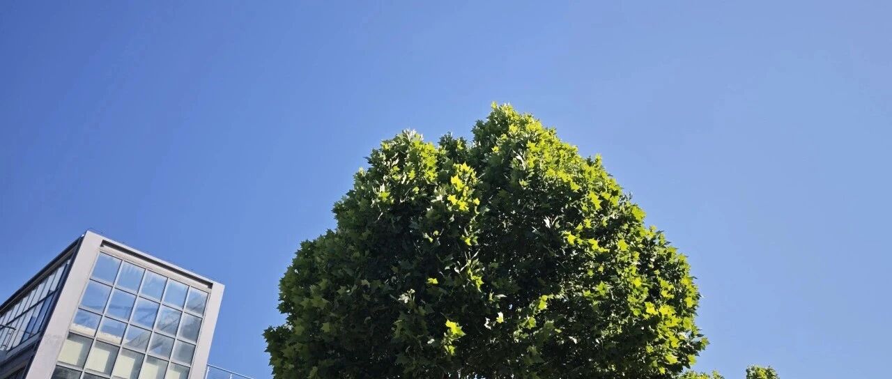 又到一年毕业季